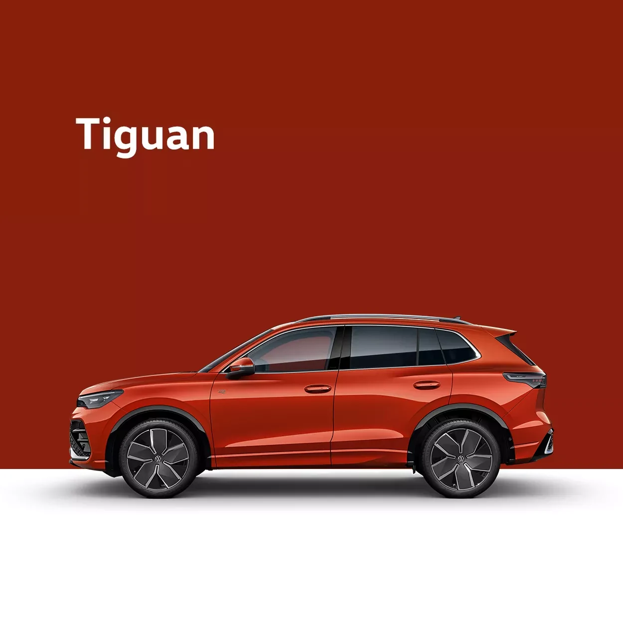 車種名入りのVolkswagen Tiguan